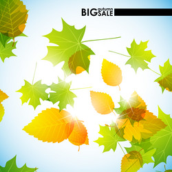 Similar image 5864396