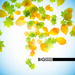 Similar image 5864399