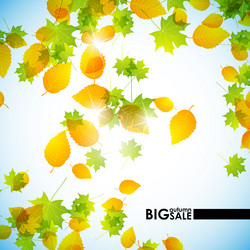 Similar image 5864440