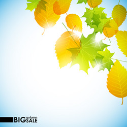 Similar image 5864445