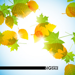 Similar image 5864446