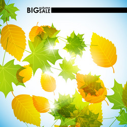 Similar image 5864448