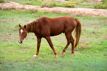 Similar image 5864483