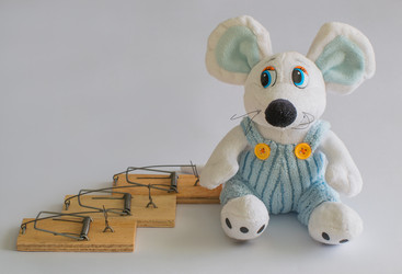 Similar image 5864501