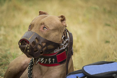 Similar image 5864535