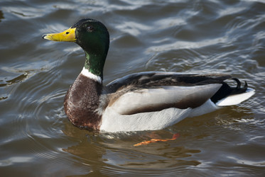 Similar image 5864551