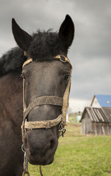 Similar image 5864552