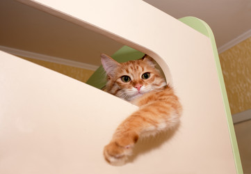 Similar image 5864559