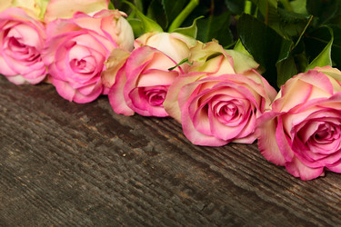 Similar image 5864785