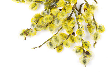 Similar image 5864797