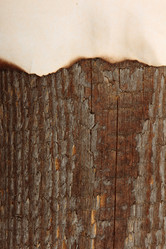 Similar image 5864818