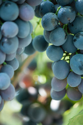 Similar image 5864909