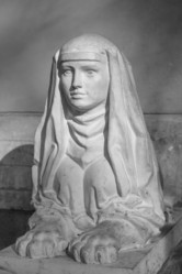 Similar image 5864916