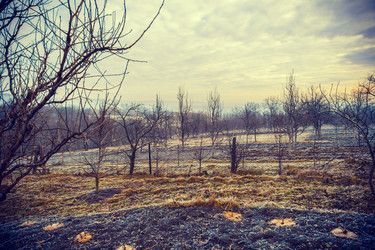 Similar image 5864942