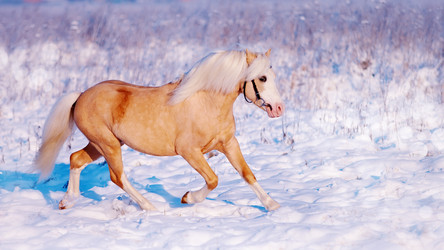 Similar image 5865002