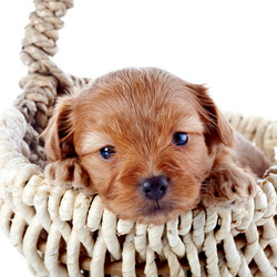 Similar image 5865005