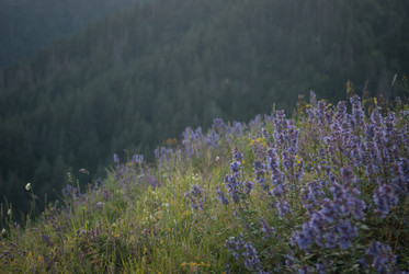 Similar image 5865194