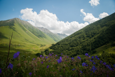 Similar image 5865203