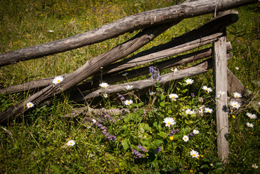 Similar image 5865247