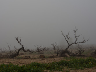 Similar image 5865259