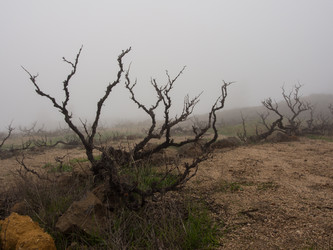 Similar image 5865260