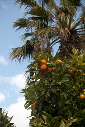 Similar image 5865294