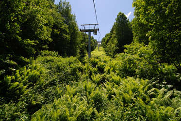 Similar image 5865315