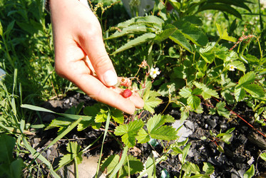 Similar image 5865325