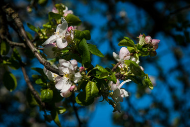 Similar image 5865354