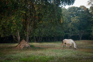 Similar image 5865382