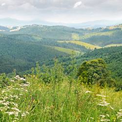 Similar image 5865385