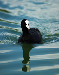 Similar image 5865685