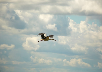 Similar image 5865688