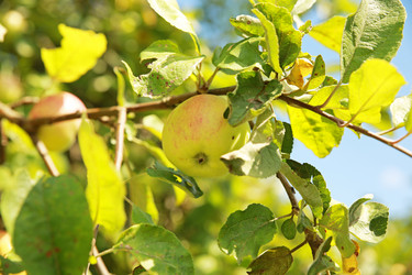 Similar image 5865689