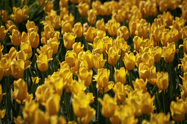 Similar image 5865692