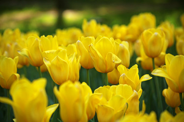 Similar image 5865693