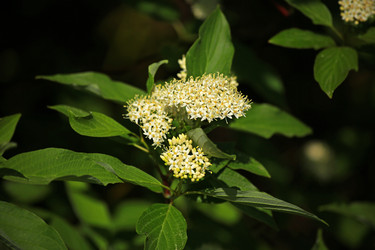 Similar image 5865694