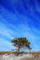 Similar image 5865702