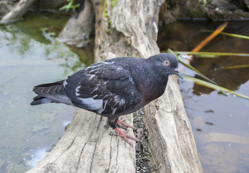 Similar image 5865765