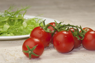 Similar image 5865920