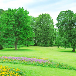 Similar image 5865988