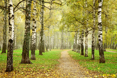 Similar image 5866106