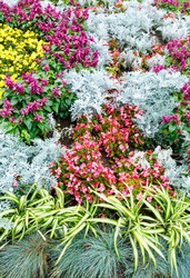 Similar image 5866160