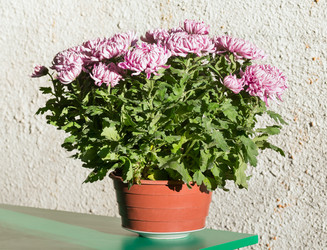 Similar image 5866183