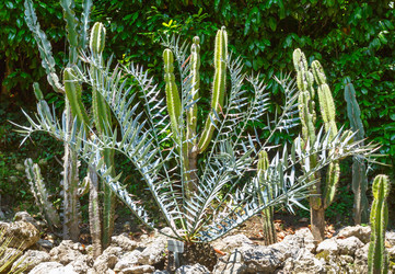 Similar image 5866191