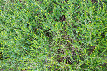 Similar image 5866207