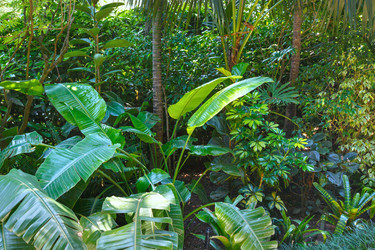 Similar image 5866210