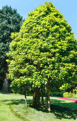 Similar image 5866221