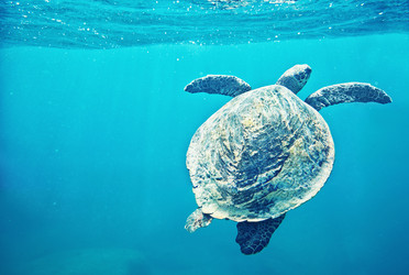 Similar image 5866916