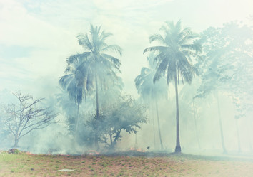 Similar image 5866918